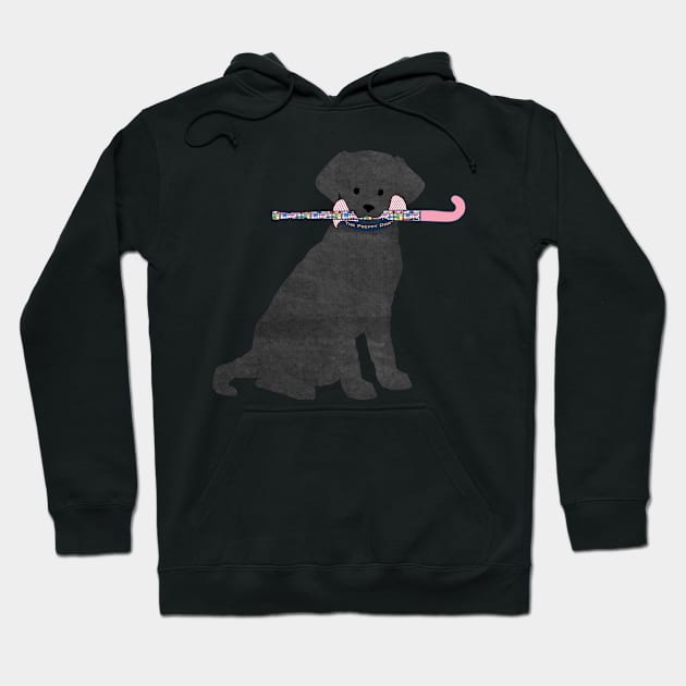 Black Lab Retriever Preppy Madras Field Hockey Dog Hoodie by emrdesigns